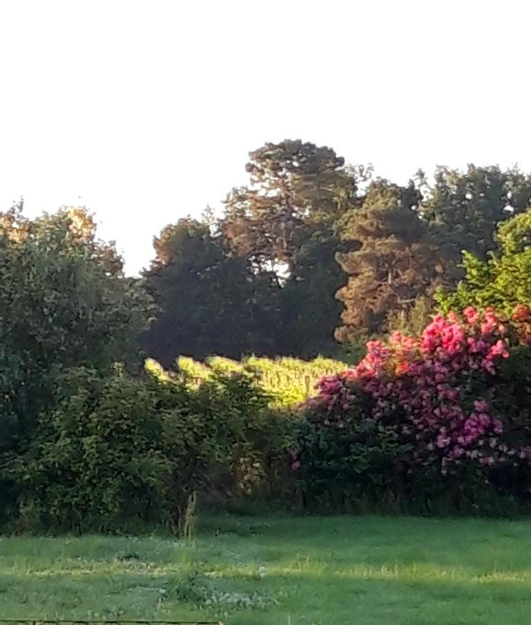 Le Pouy Bed and Breakfast Termes-d'Armagnac Exterior foto